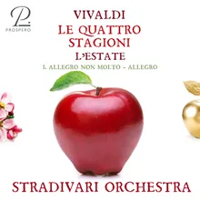 Le Quattro Stagioni, Violin Concerto in G Minor, Op. 8 No. 2, RV 315 "L'estate": I. Allegro non molto