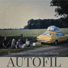 Autofil