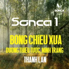 Bóng Chiều Xưa (1971)