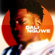 Dali Nguwe