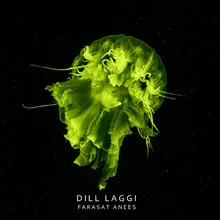 Dill Laggi