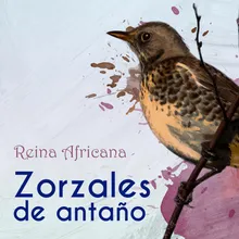 Reina Africana