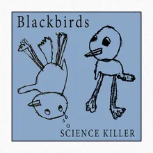 Blackbirds