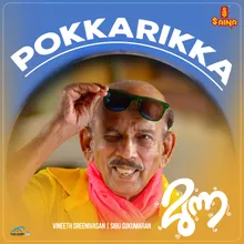 Pokkarikka Vannu