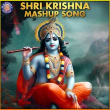 Shri Krishna Mashup Song