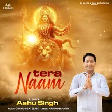 Tera Naam