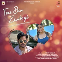 Tere Bin Zindagi