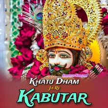 Khatu Dham Ja Re Kabutar