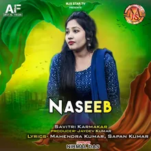 NASEEB