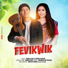 Fevikwik