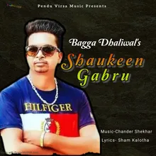 Shaukeen Gabru