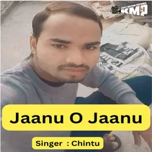 Jaanu O Jaanu