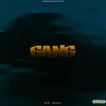 Gang