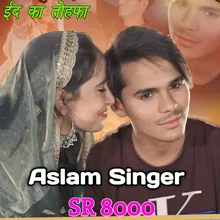 Aslam Singer SR 8000