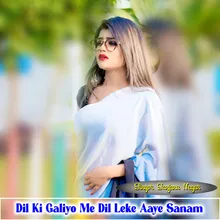 Dil Ki Galiyo Me Dil Leke Aaye Sanam