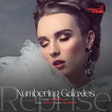 Numbering Galaxies Reprise