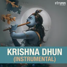 Aarti Kunjbihari Ki (Instrumental) 2