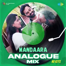 Mandaara - Analogue Mix