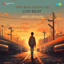 Tere Bina Zindagi Se Lofi Beat