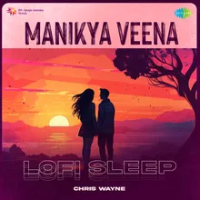 Manikya Veena - Lofi Sleep