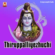 Adhupazha