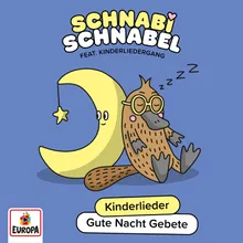 Lieber Gott, zur guten Nacht Gebet