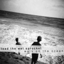 Walk On the Ocean (Single Version)