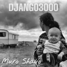 Muro Shavo