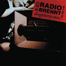 Radio Brennt Dingleberry Mix