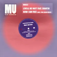 Now I am free (Housedevice MaxSax Mix)
