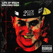 Life Of Brick