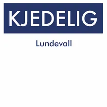 Kjedelig