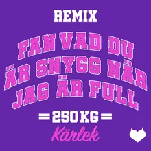 Fan vad du är snygg när jag är full (Remix)