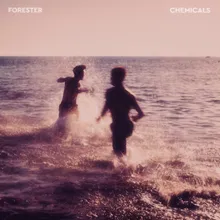 Chemicals