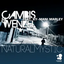 Natural Mystic (Lissat & Voltaxx Dreadlock Remix)