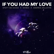 If You Had My Love (Extended Mix)