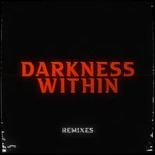 Darkness Within (VIP Mix)