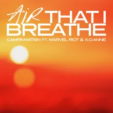 Air That I Breathe