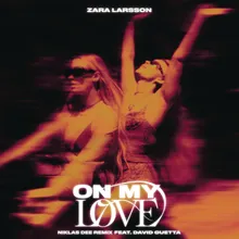 On My Love (Niklas Dee Remix)