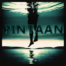 Pintaan