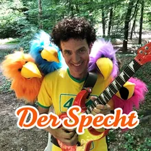 Der Specht