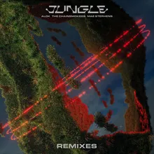 Jungle (Arcando Remix)