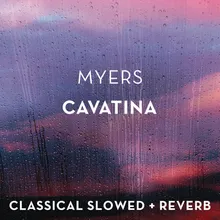 Myers: Cavatina - slowed + reverb + rain