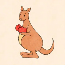 Kangaroo Fighter