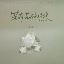 The Agreement of Jasmine (DJ Huang Zhouhao Edition Instrumental)