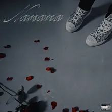 NaNaNa Remix