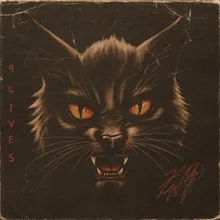 9 Lives (Black Cat)