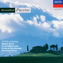 Puccini: La Rondine / Act 1 - Chi il bel sogno di Doretta (Doretta's Dream Song)