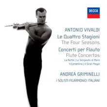 Vivaldi: Concerto No. 2 in G minor "L'Estate" for violin (flute), strings and basso continuo - III. Presto