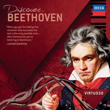 Beethoven: Symphony No. 9 in D minor, Op. 125 - "Choral" / 4.: 4. Presto - Allegro assai Excerpt